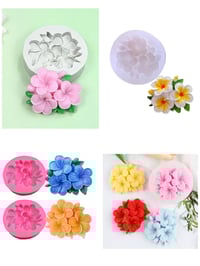 قوالب ديكور • جمال