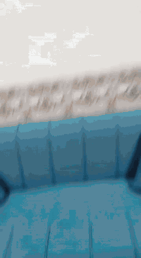 تخم للبيع نضيف مثل ماموضح بلفديو سعره ٢٠٠ وبي مجال بسيط للتواصل 077065...