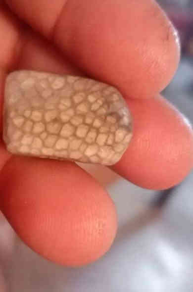 سلام عليكم حجار بيهن قنداش وبيهن قدم وبيهن نوعيات ***********
