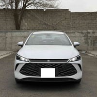 باي دي قين • ٢٠٢٥ • ٢١٠٠ كم