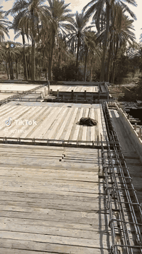 العمل داخل بابل وبغداد مقاولات عامه وكافة اعمال البناء والترميم وتسليم هيكل عظم أو تسليم مفتاح وحسب المدة الزمنية المتفق عليها #للاتصال خاص أو *********** أو ***********
