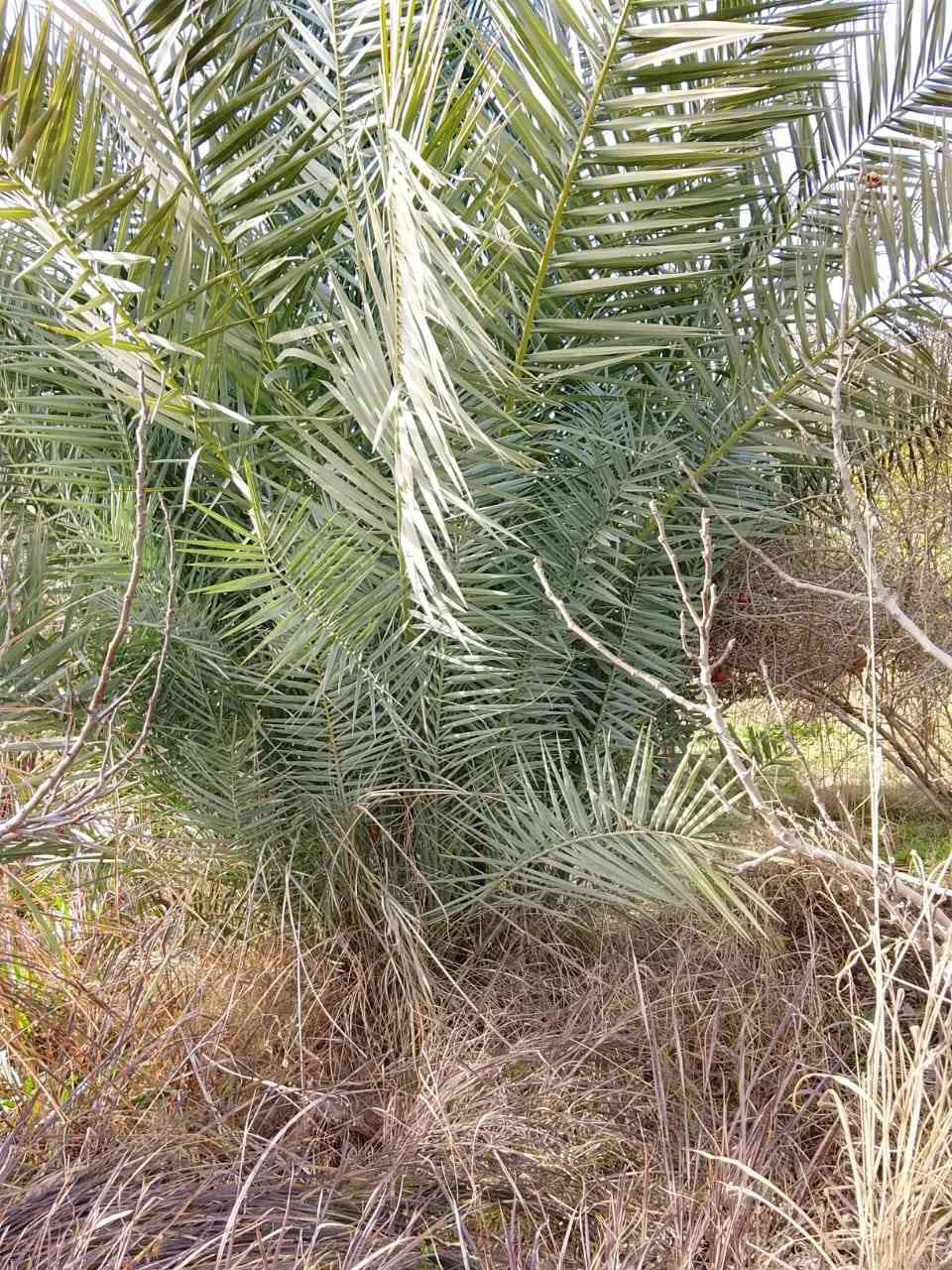 السلام علیکم ورحمة الله وبركاته
يوجد لدينا فسائل خستاوي درجه اولى اليريد يجي يشلع وياخذ في سبيل الله المكان الرمادي زنگوره


**إذا كنت صاحب هذا الإعلان وتريد حذفه لأي سبب، رجاءا أرسل رسالة إلى الدعم الفني**