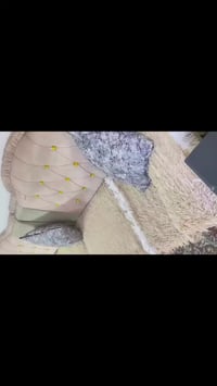 تخم قنفات • كسر صغير • يتصلح بالضهر