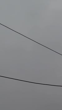 اخوان دراجة نوع فلة الدراجة خير من الله مال رنبة نازلة ع أيدي مكينة بل...