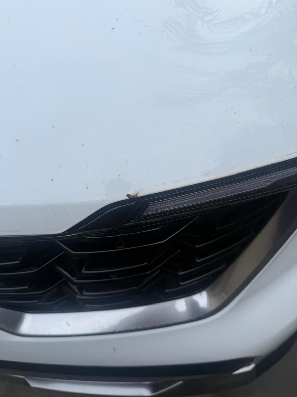 ‏كيا سورنتو موديل 2024 السيارة حلوة ونظيفة موهان شركة خمس سنوات سيارة ماشية
26الف
‏سيارة كلش حلوة بيها طخة بالبنيد سارة مواصفاتها معروفة فول ما عدا بانوراما  عوان السيارة بغداد الحسينية المعامل سيارة باسمي تحويل ثاني يوم رقم الهاتف ‎077 114 80085 سعر السيارة 305$
