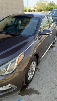 سوناته • ٢٠١٥ • وارد أمريكي