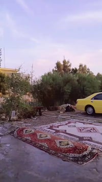 سكنر • موديل ٢٥ • اوراق