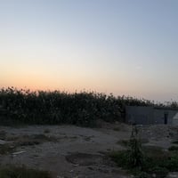 أرض زراعي • ٤٠٠م • حمزلي خلف بانزيخانت