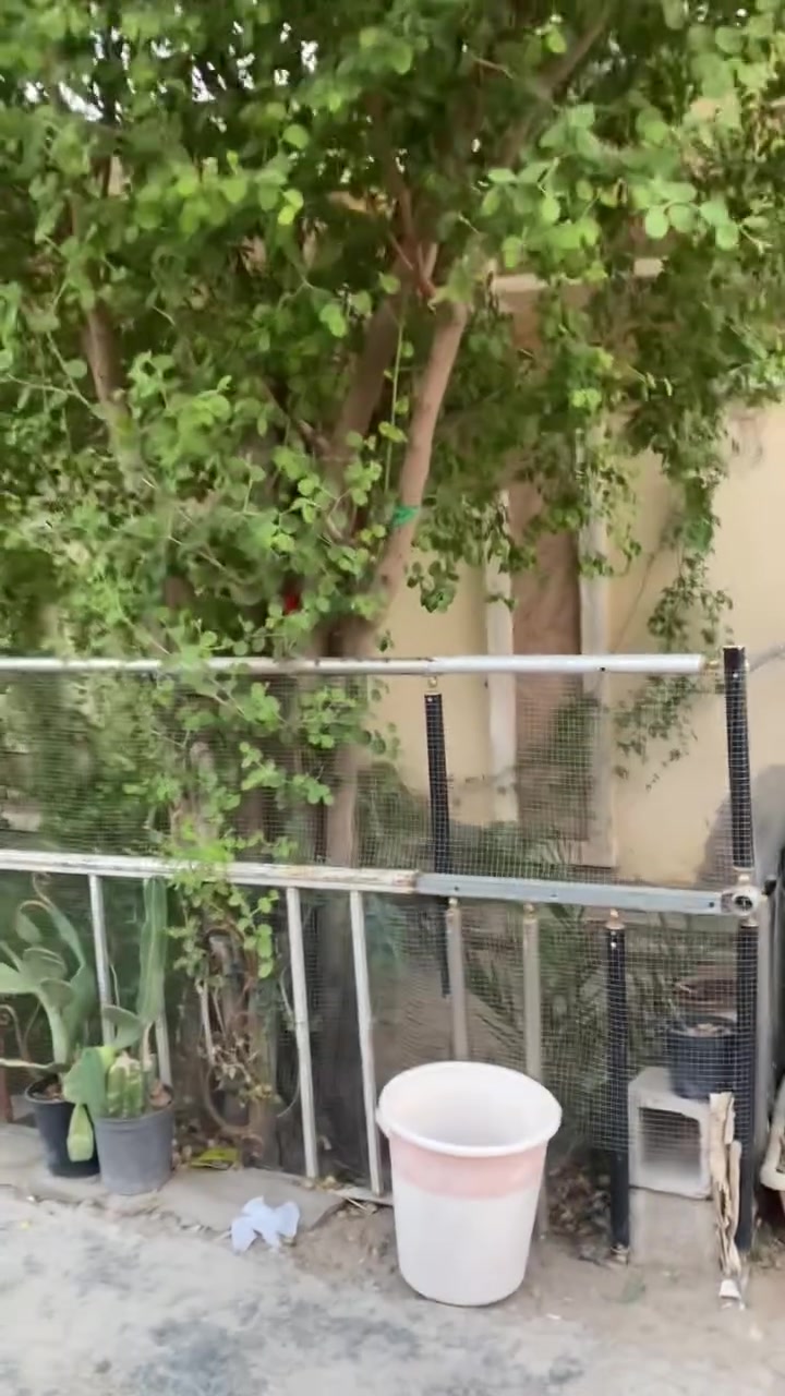 السلام عليكم بيت للبيع زراعي سند ٢٥ مساحه ٢٠٠ بيت نضيف ومعمر جديد منطقه سعديه خلف مطعم سمينه الاستفسار عن الرقم ***********
