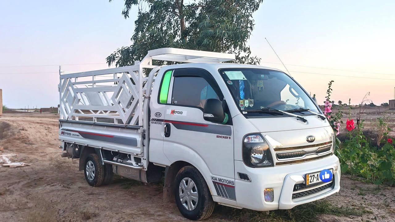 سلام عليكم كيه حمل 2019 كفاله عامه على وضع الشركه رقم ذي قار انكليزي ماشيه 100 الف، هزه جديده سنويه لل2030 السعر 125 وبيهه مجال العنوان ديوانيه قضاء البدير رقم الهاتف ***********
