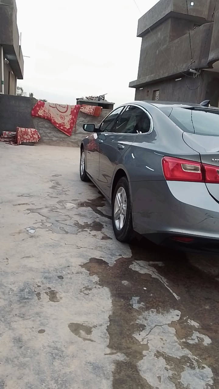 سلام عليكم ماليبو 23,فول مواصفات ضررهه جاملق الايمن والبنيد نفسيته رقم بغداد انكليزي سنويه 30  بأسمي شخصيا ماناقصهه اي شي ..العنوان بابل ،جبله.السعر 120وبيهه مجال لطيبين ..الهاتف:***********
