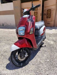 نوزل • بوليسي • ٢٠١٠
