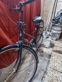 باسكل • ياباني أصلي • درويش الاعلام