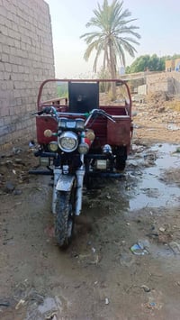 ستوته ٢٠١٩ • ١١٥٠ • أوراق أصلية