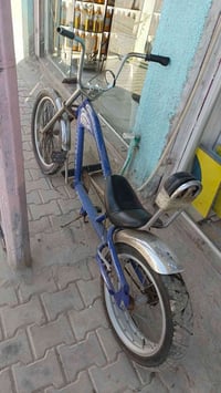 هارلي • نظيف • بابل محاويل حي ١٧