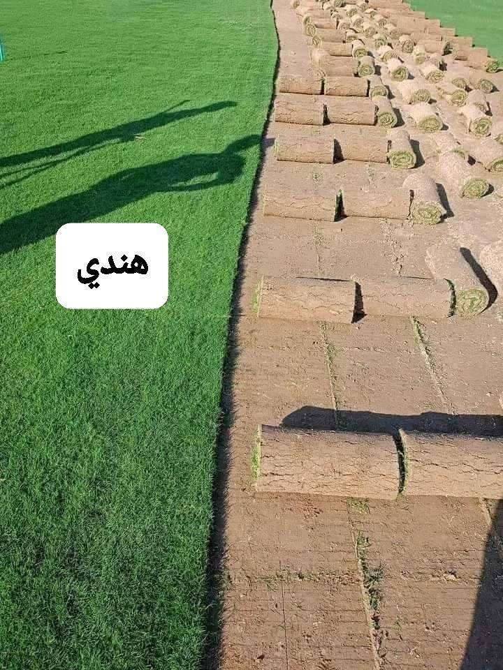 مع بداية الموسم الجديد ٢٠٢٦ يسرنا ان نوفر لكم الثيل الطبيعي عالي جوده يتحمل كافه ظروف البيئية 
#الفرنسي دائم الخضره 
#الايطالي دائم الخضره 
#الهندي خضار موسمي
#الانكليزي خضار موسمي................
 مع خدمة التوصيل لكافة محافظات العراق لمعرفة المزيد راسل الصفحه او اتصل على 
***********
***********
او الواتس اب 
ثيل ديالى الطبيعي
