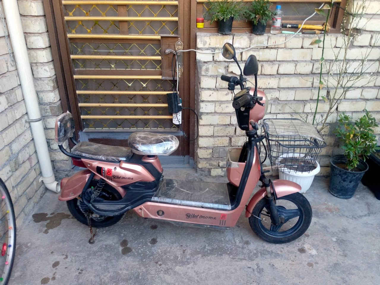 دراجه شحن للبيع حجم 14 ..3سرع السعر 190 مكاني بغداد حي الجهاد


**إذا كنت صاحب هذا الإعلان وتريد حذفه لأي سبب، رجاءا أرسل رسالة إلى الدعم الفني**