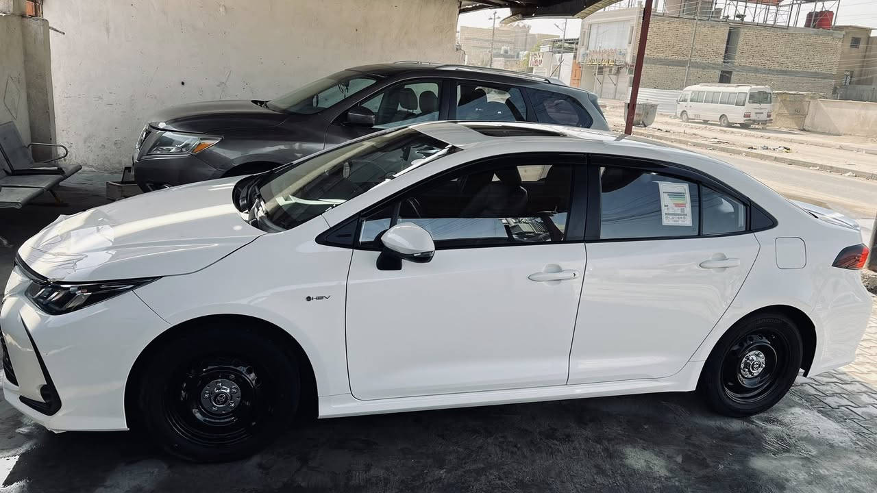 2024 ماشية 26 العنوان بصرة السعر 132 …….***********
