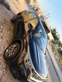 سلتوز • ٢٠٢١ • رقم اربيل