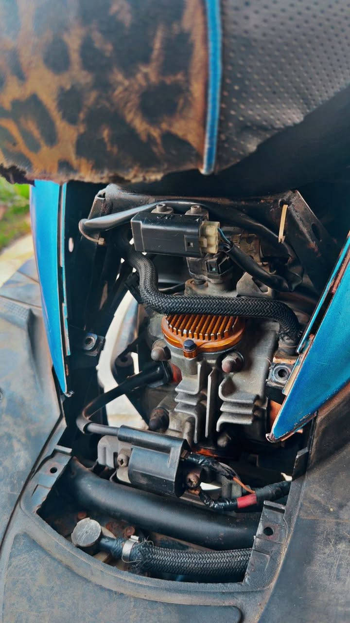 سلام عليكم سكنس فحل  للبيع الدراجه مكصوصه من بره قبل سنه الدراجه 58 تزويد بلادي 600 وبيهه مجال *********** بيه وتساب
