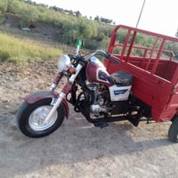 ستوته • دايون • 2021