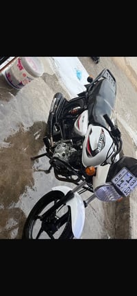 بوكس ٢٠٢٣ • بابل • بغداد المشتل