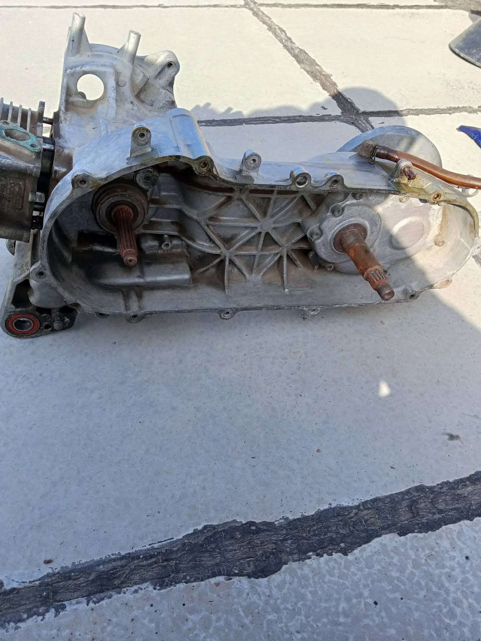 سلام عليكم غراض ابلاديات نصهن مال رمبة جوة السوك مكاني بغداد حي الجامعة رقم الهاتف ***********بي واتساب
