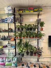 رفوف جام  للبيع السعر مناسب ١٢٥ الف مكاني الدوره الميكانيك رقم ٠٧٧٠٢٨٠...