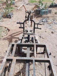 شاصي • بدون أوراق • ناصرية سيددخيل