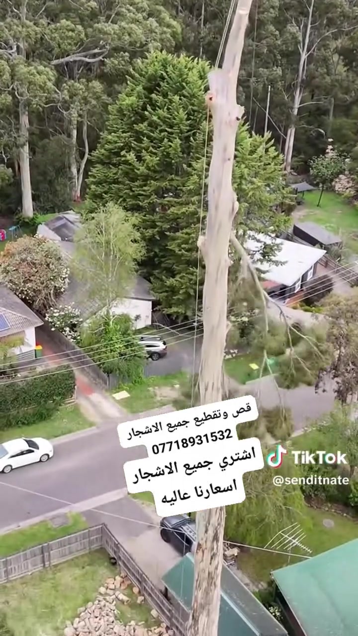 اشتري جميع الاشجار اي شجرة عندك بستان نشتري ***********
بي واتساب
