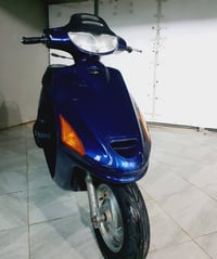 دراجة فراشة • معدل فول • نجف