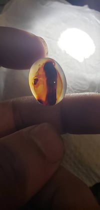 كاميرا • مفرد