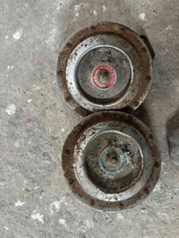 هورنات • الدرع • تفرعات