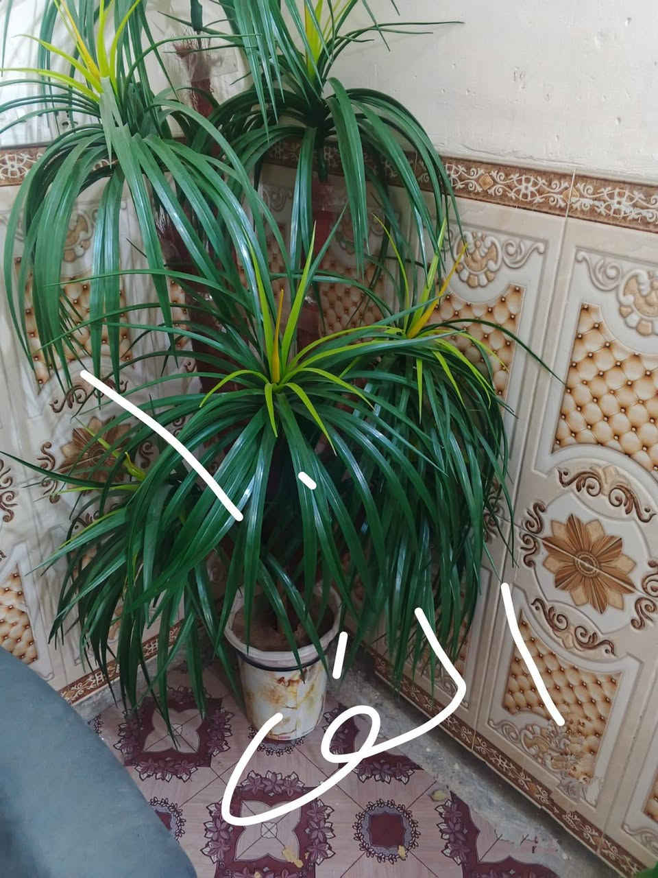 سلام عليكم غراض بيت للبيع كل حاجه وسعره قفل


**إذا كنت صاحب هذا الإعلان وتريد حذفه لأي سبب، رجاءا أرسل رسالة إلى الدعم الفني**