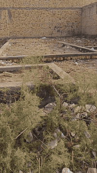 بـس بـ (80 مليون دينار ) تكدر تحـصل على 
  قـطعه طابو ملك صرف 
في منطقة حي الغدير الثانيه ( ميسان العماره)
200 متر مقابيل ساحه خضراء شارع 10م
.
للاستفسار *********** ☎️🤳كوله من طرف مندوبه ليان امانه
