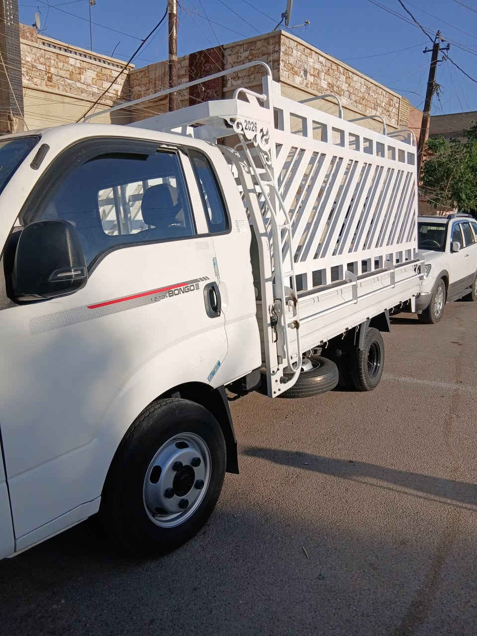 فحل مسكر ٢٠ بغداد ٥ دكم فول مواصفات ***********
