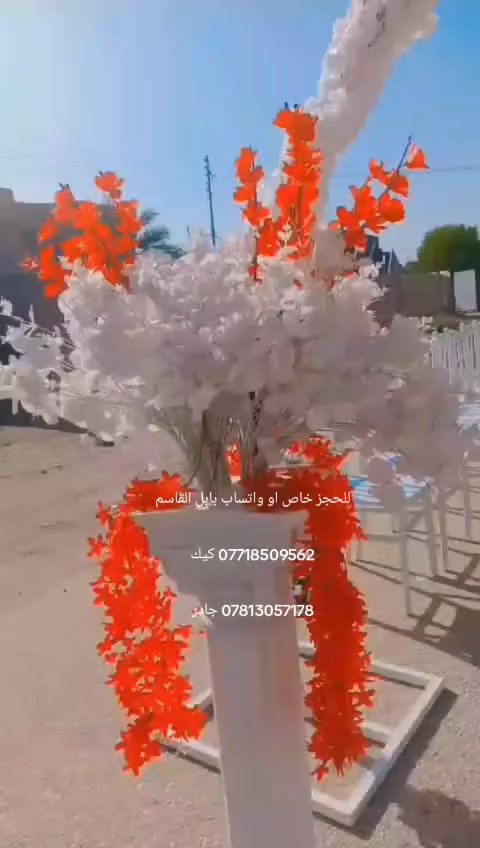 للحجز خاص او واتساب بابل القاسم
*********** كيك 

*********** جادر
