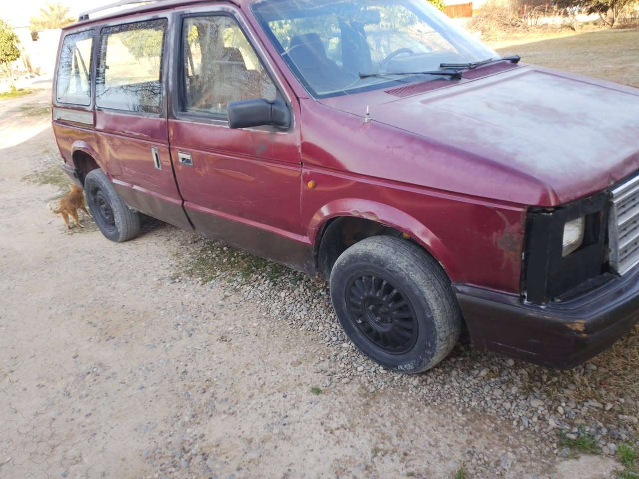 السلام عليكم لبيع كلايزر سبعه راكب كير ومحرك كورله وتماتيك بل شرط بدون صبغ ودعم كهربائيات  كلها شغاله تواير اربعه جدد ترهم مراوس حسب القناعه السعر 12 الاستفسار الاتصال على الرقم ***********
