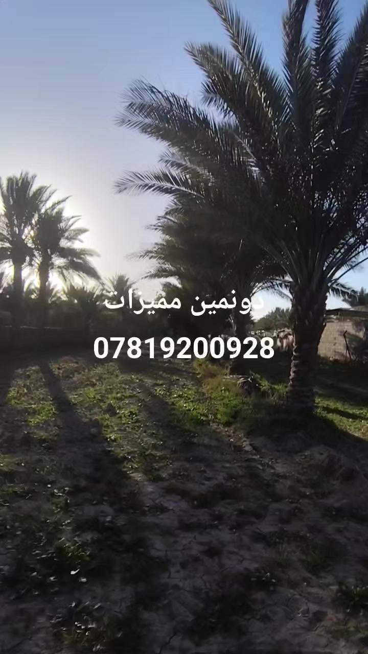 دونمين مرتبات سند 25 تحويل مباشر  ***********
