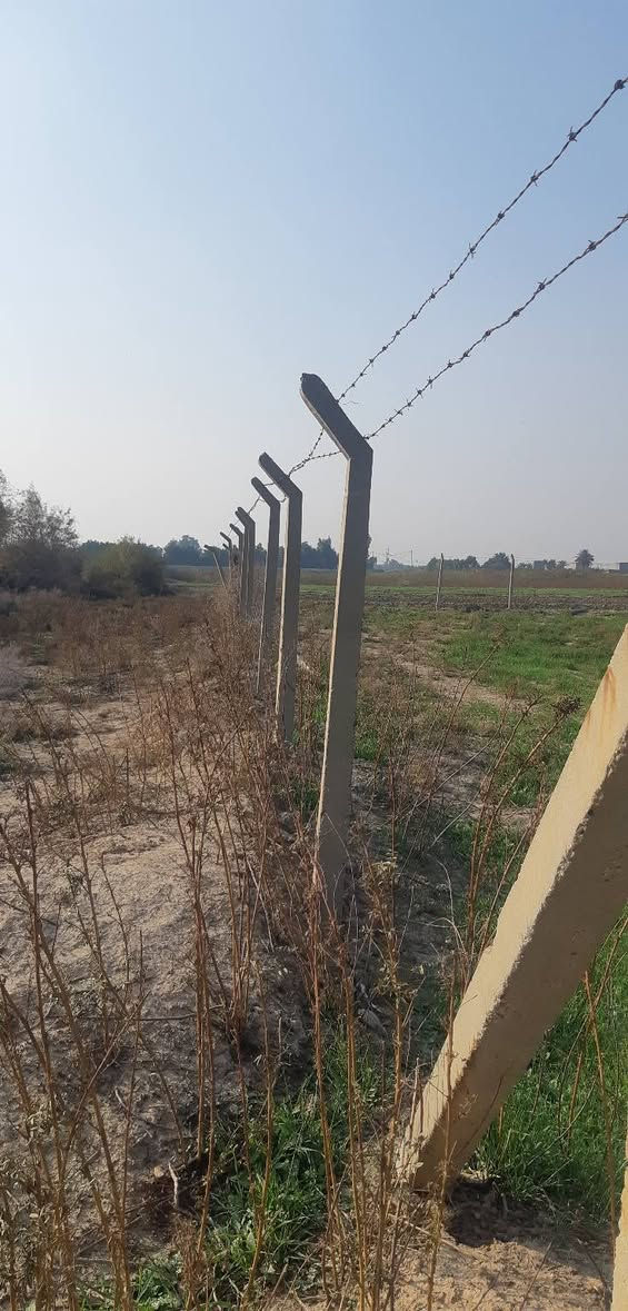 دنك للبيع عدد 100
مكاني واسط الدبوني 
***********
