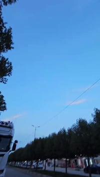 ماكس منغولي • كفالة عامة • ملاح فول