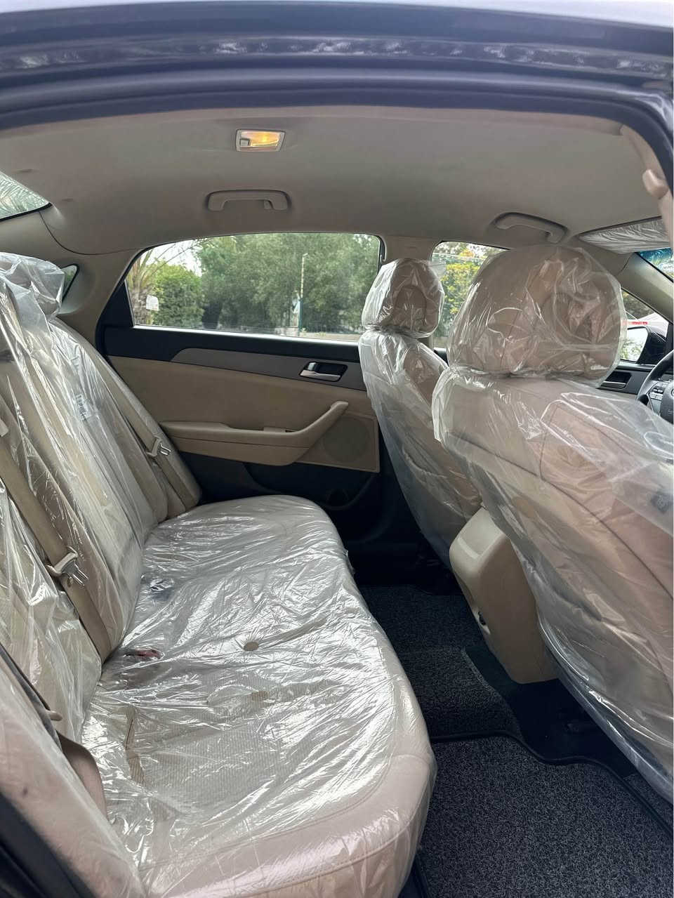 *********** بغداد, العراق
