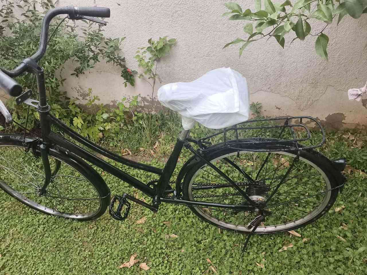 انطي سعرك إذا عجبني ابيعلك للواحد أربيل, العراق


**إذا كنت صاحب هذا الإعلان وتريد حذفه لأي سبب، رجاءا أرسل رسالة إلى الدعم الفني**