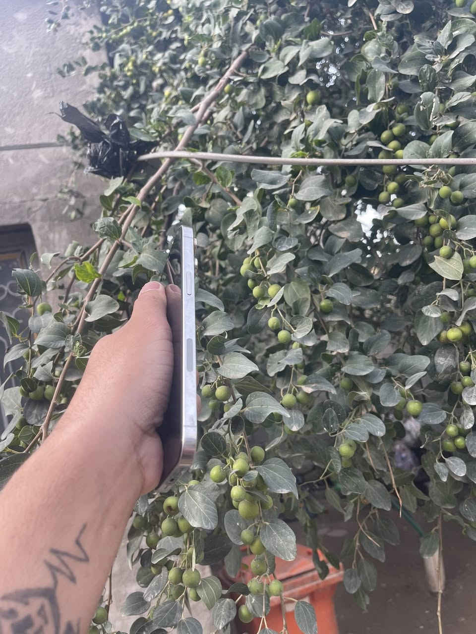 ايفون 12برو ماكس امريكي ذاكـره  /512
البطاريه ٨٠ ببلاديه

عندك فقط الكامره الكامره ٢.٥واكفه بسبب تحديث وال ١x

شغاله طبيعي كامرته تخبل 

تليفون امانة الله مال بيت  ملاحظه تليفون غير داخل صيانه 

افحص وين متريد 

سعره ٥٥٠ وابي مجال بسيط مكاني بابل رقم الهاتف ***********
