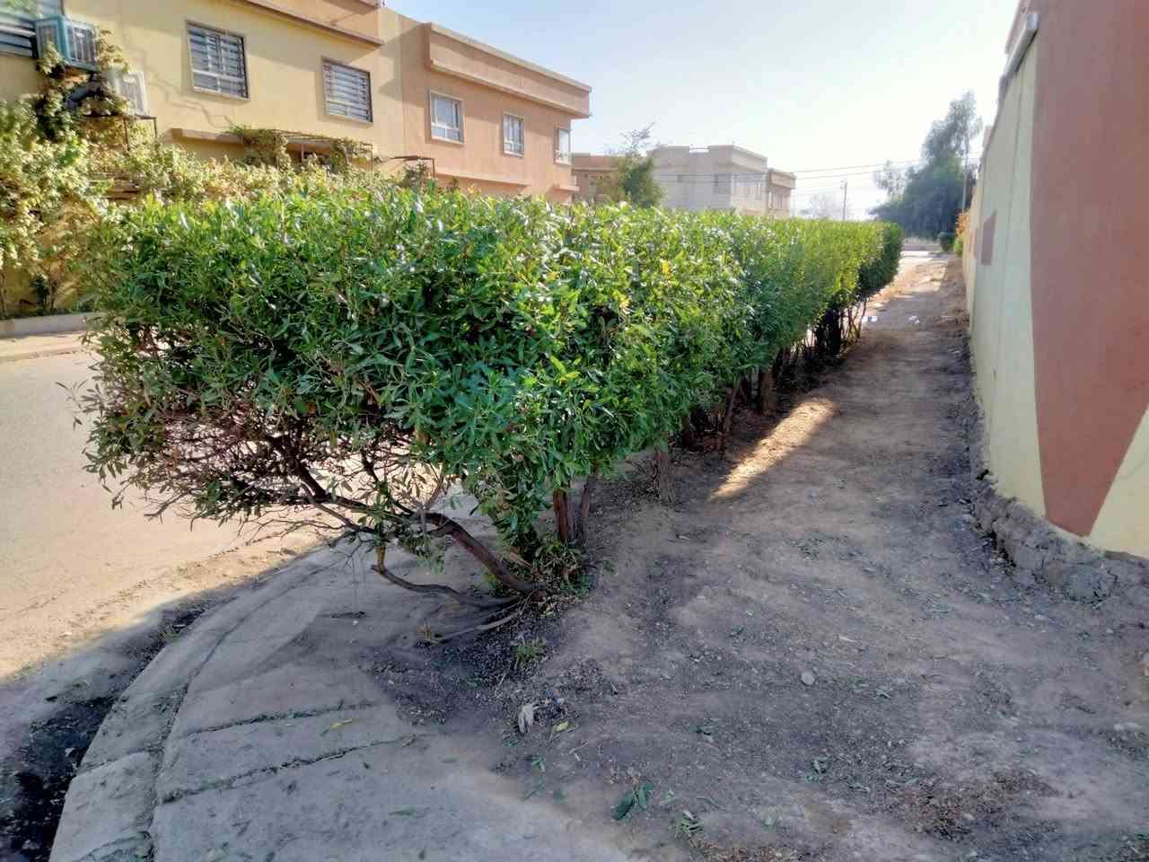 حديقجي في اربيل + تصميم وترتيب ديكورات 
زرع حدائق + أدامه شهريه+ زرع اشجار + تقليم الأشجار +قص ثيل 
تنظيف وترتيب الحدائق + قلب وتنظيف تربه ترتيب +
تبديل تربه + ترتيب سياج الحدائق بل الملون 
ترتيب اطارات الحدائق بل حصو الملون الاستفسار 

واتساب ***********
