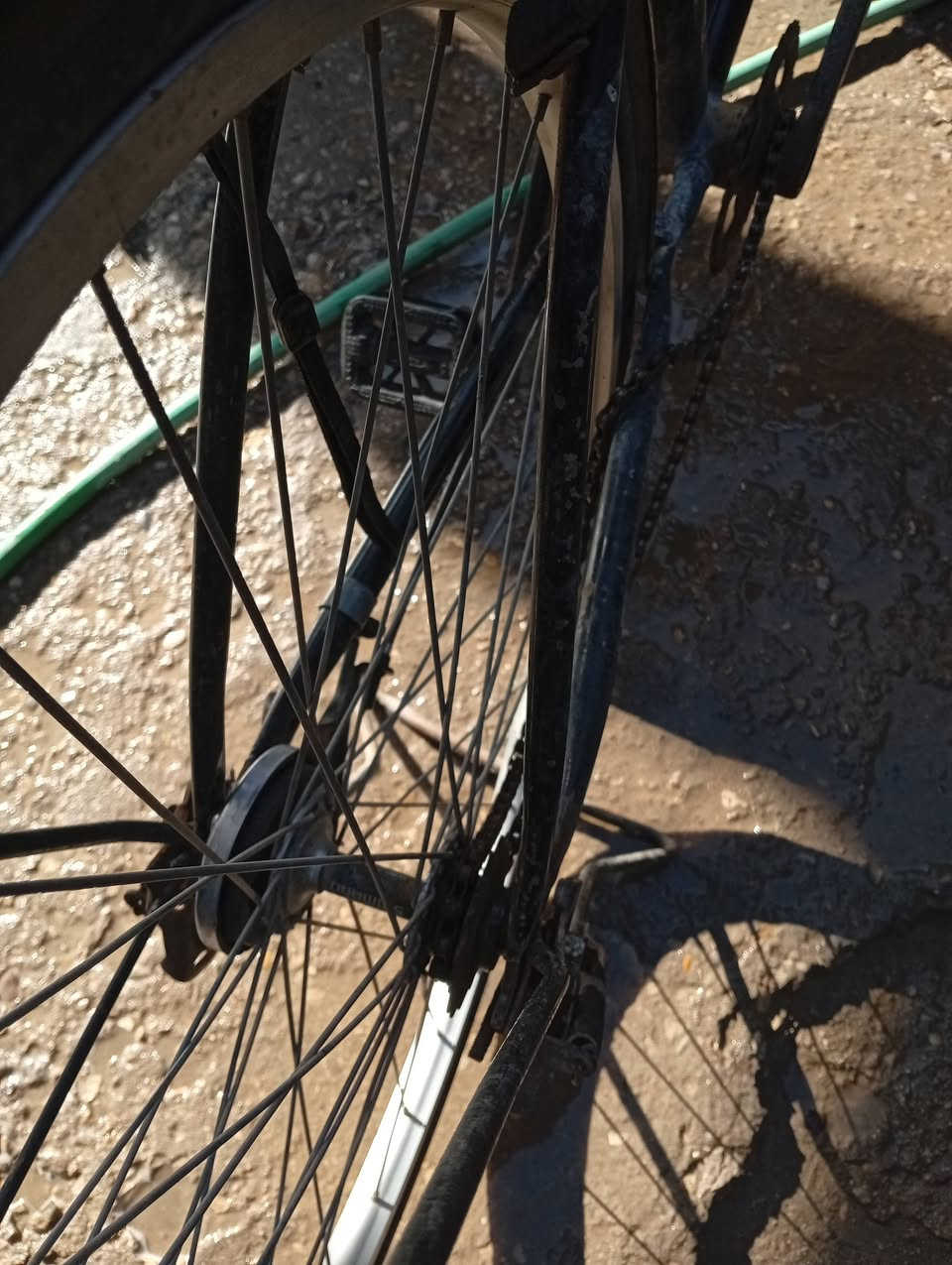 بايسكل للبيع السعر 50 قفل بس الزنجيل يحتاجله تگصير العنوان الديوانية حي الحضارة الرقم *********** أو التواصل على الصفحة
