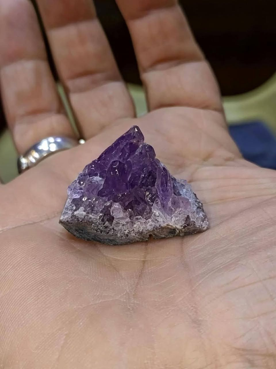 قيم واخذ


**إذا كنت صاحب هذا الإعلان وتريد حذفه لأي سبب، رجاءا أرسل رسالة إلى الدعم الفني**