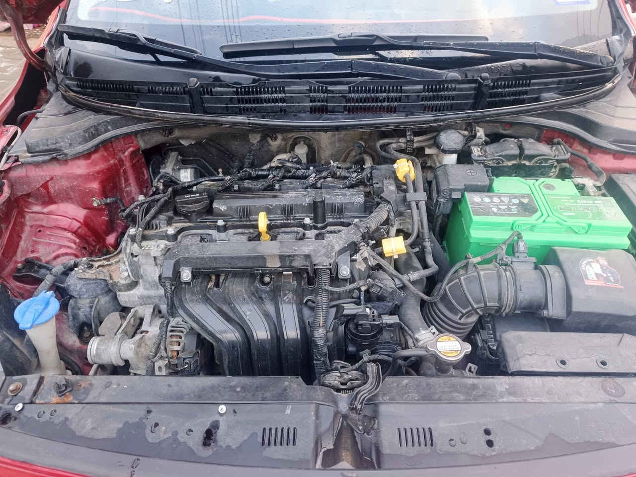 سلام عليكم كيه ريو مديل 21 لبيع سياره جاهزه من كلشي ربع مادب عليها سياره رقم معوقين اخر سنه وصير حره وسعر 103 وبيها مجال لشراي مكانها بصره *********** تصل وبخدمتك وسونار كدامك
