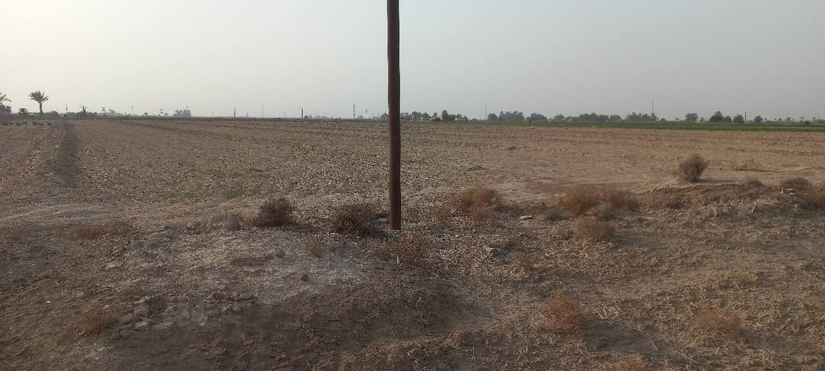 السلام عليكم كاع للبيع طابو زراعي سند ٢٥ خمس دوانم ماء كهرباء مقابيل معمل الزفت *********** ابيع كلهن السعر ٢٥ واني خادم
