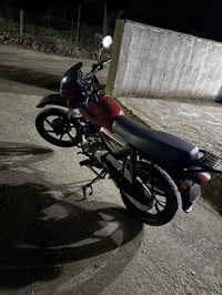 بوكسر فحل 21 • اوراق مكفول • قلعت صالح